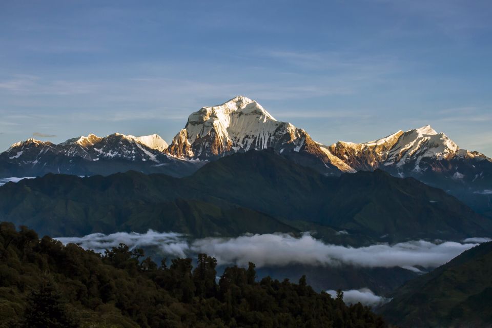 From Kathmandu: Goorepani Poonhill Trekking Trip - Full Description