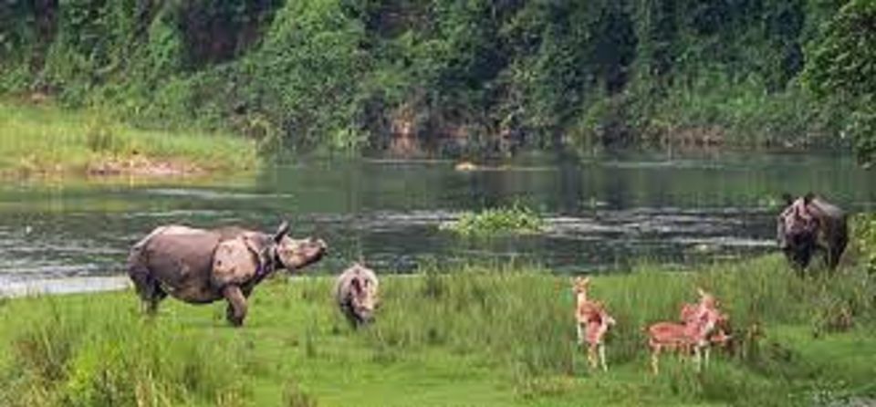 From Kathmandu or Pokhara:Luxury 4 Day Chitwan Tour Package - Cultural Immersion