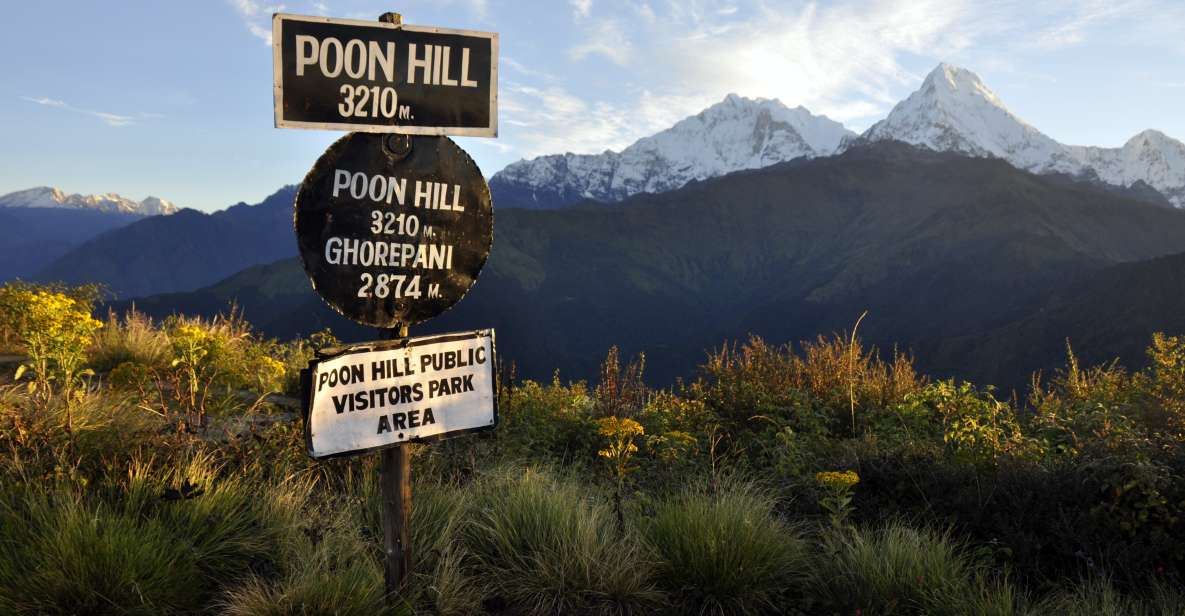 From Kathmandu: Poon Hill Multi-Day Trekking Trip - Full Description