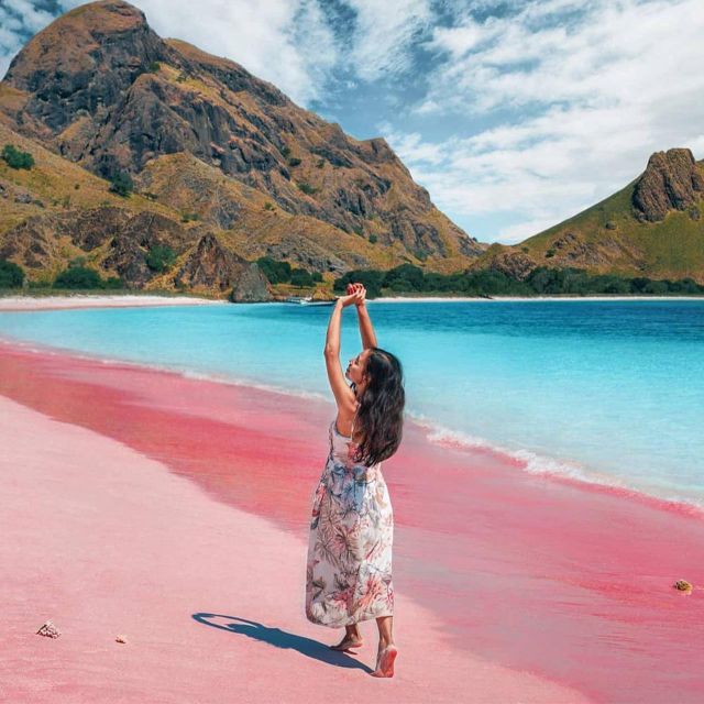 From Labuan Bajo: Komodo Island Day Tour With Open Deck Boat - Scenic Sailboat Journey