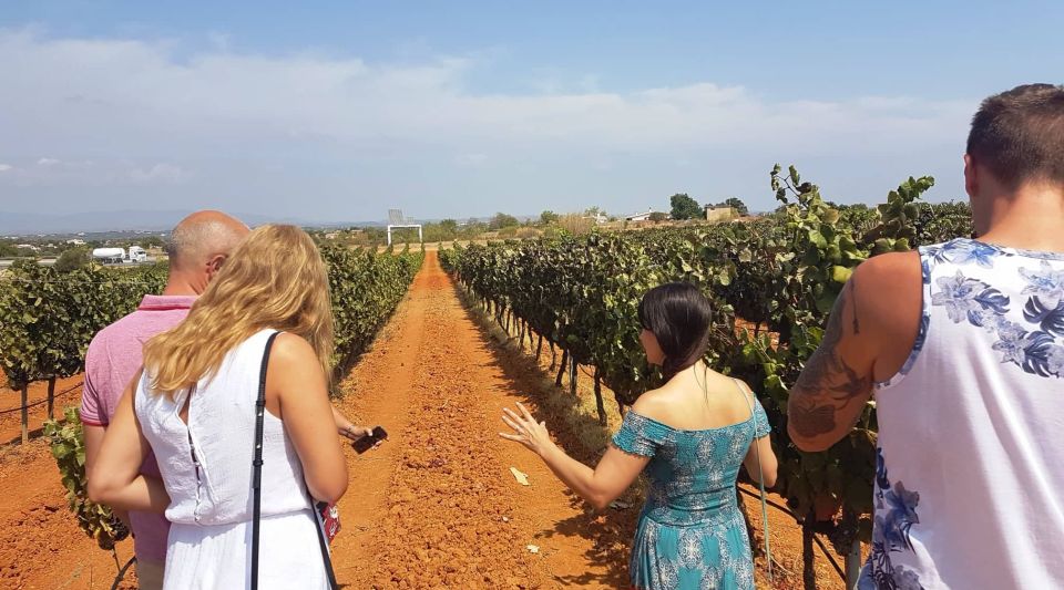 From Lagos: Private Algarve Wineries Tour With Tastings - Tour Description