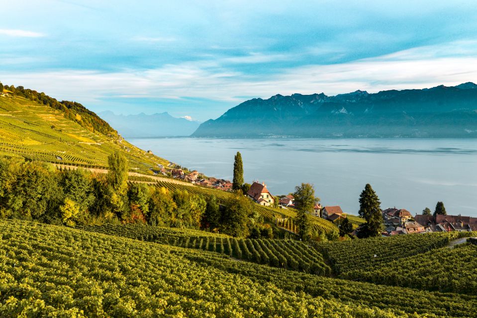 From Lausanne: Swiss Riviera Tour - Tour Highlights