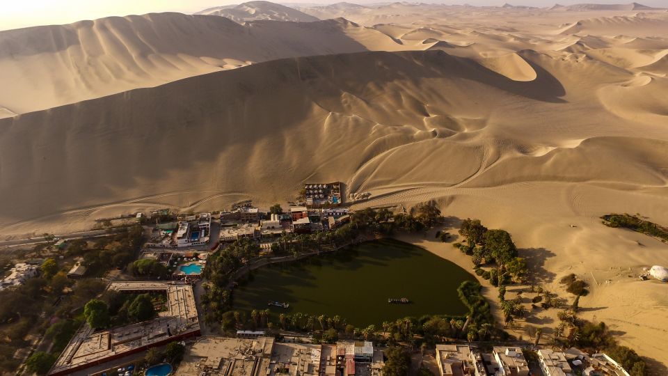 From Lima: Ballestas Islands, Huacachina Oasis and Vineyards - Activities and Highlights