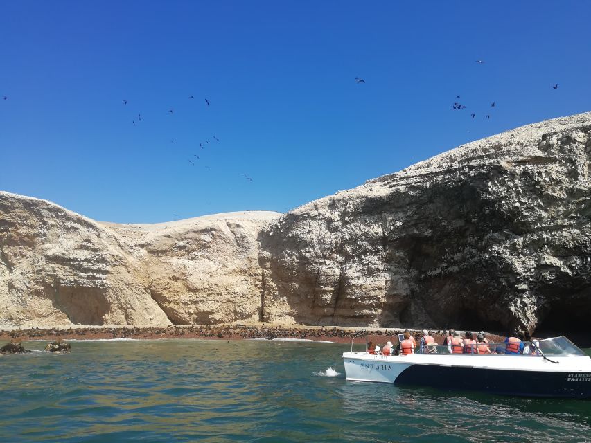 From Lima: Ballestas Islands, Paracas Reserve & Museum Tour - Tour Itinerary