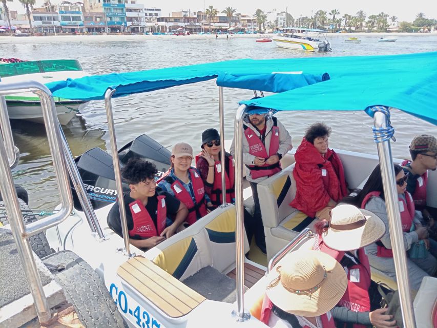 From Lima: Tour to Ballestas Islands, Huacachina Oasis - Ballestas Islands Boat Excursion