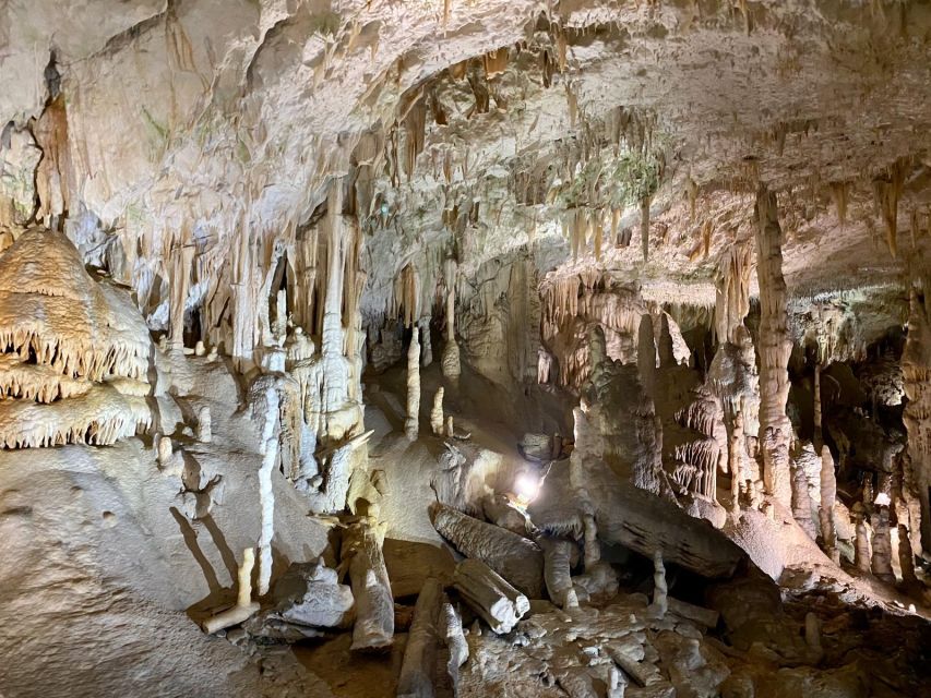 From Ljubljana: Postojna Cave Day Trip - Tour Description Breakdown