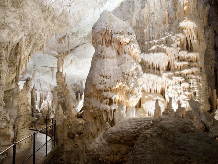 From Ljubljana: Postojna Cave & Predjama Castle Half-Day - Last Words