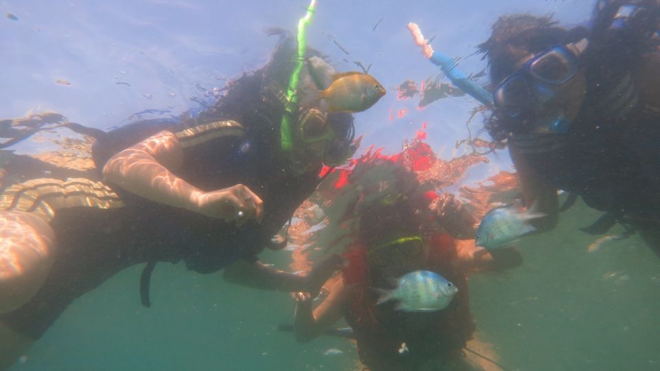 From Lombok: Southern Gilis Private Snorkelling Day Trip - Tour Itinerary