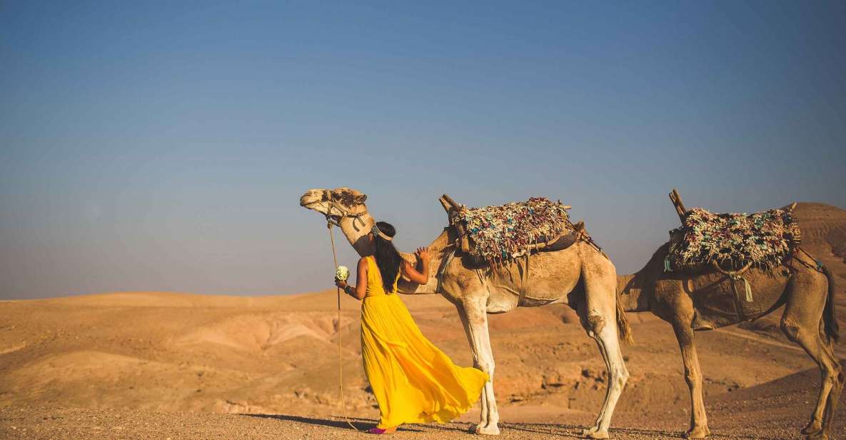 From Marrakech: 1-Hour Sunset Camel Ride in Agafay Desert - Highlights of the Experience