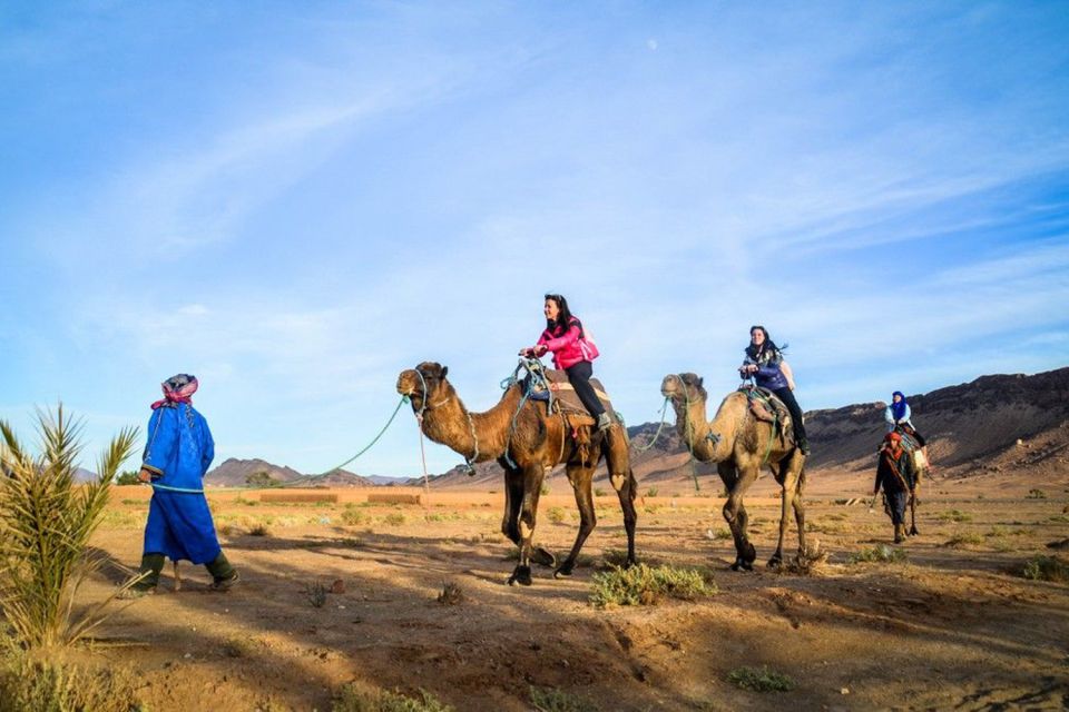 From Marrakech: 2-Day Desert Excursion - Tour Guide and Services