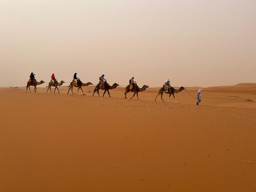 From Marrakech: 3-Day Desert Tour to Agadir - Customer Ratings and Reviews