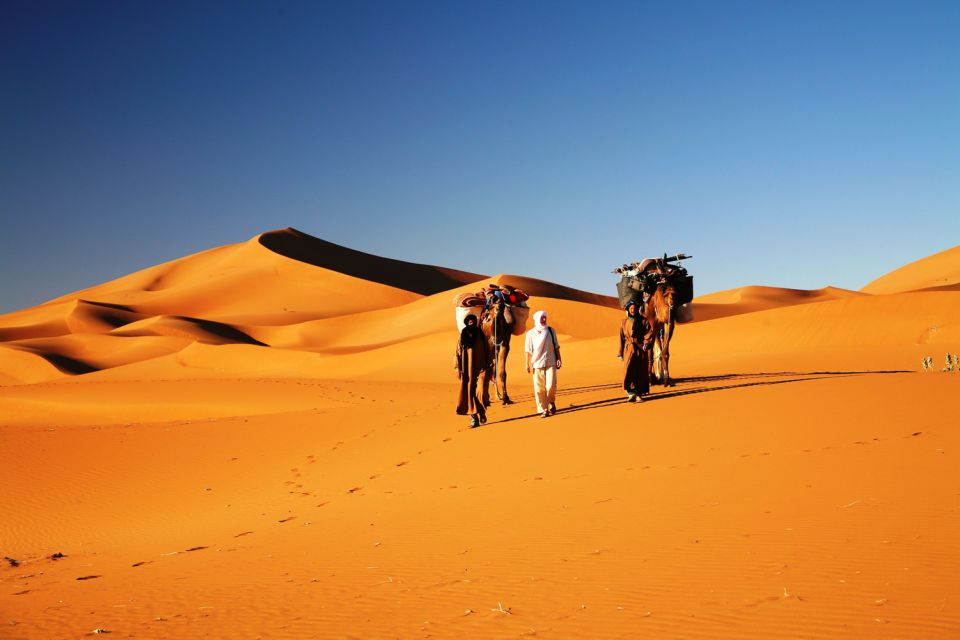 From Marrakech: 3-Day Desert Tour to Fes - Activity Highlights