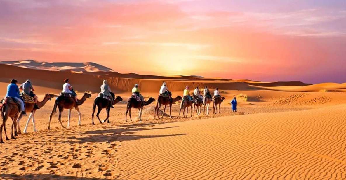 From Marrakech : 3 Days To Fes Desert Tour - Booking Information and Practical Tips