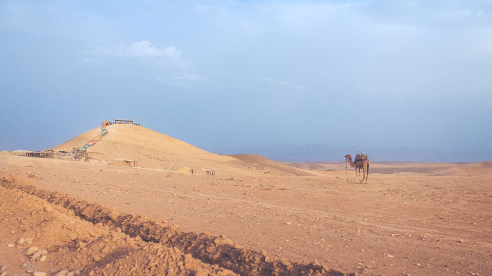 From Marrakech: Agafay Desert Camel Ride and Dinner and Show - Detailed Itinerary for the Experience