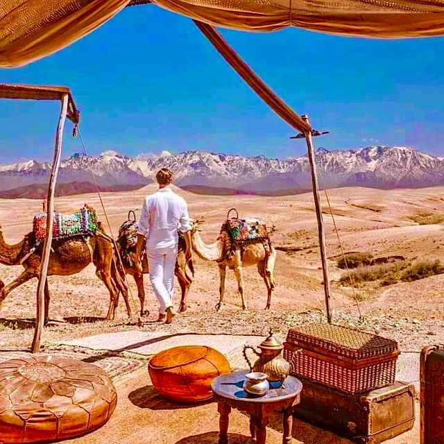 From Marrakech: Agafay Desert Dinner and Optional Camel Ride - Review Summary