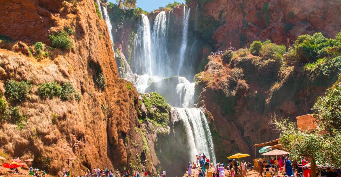 From Marrakech: Day Trip to Ouzoud Waterfalls - Highlights of the Trip