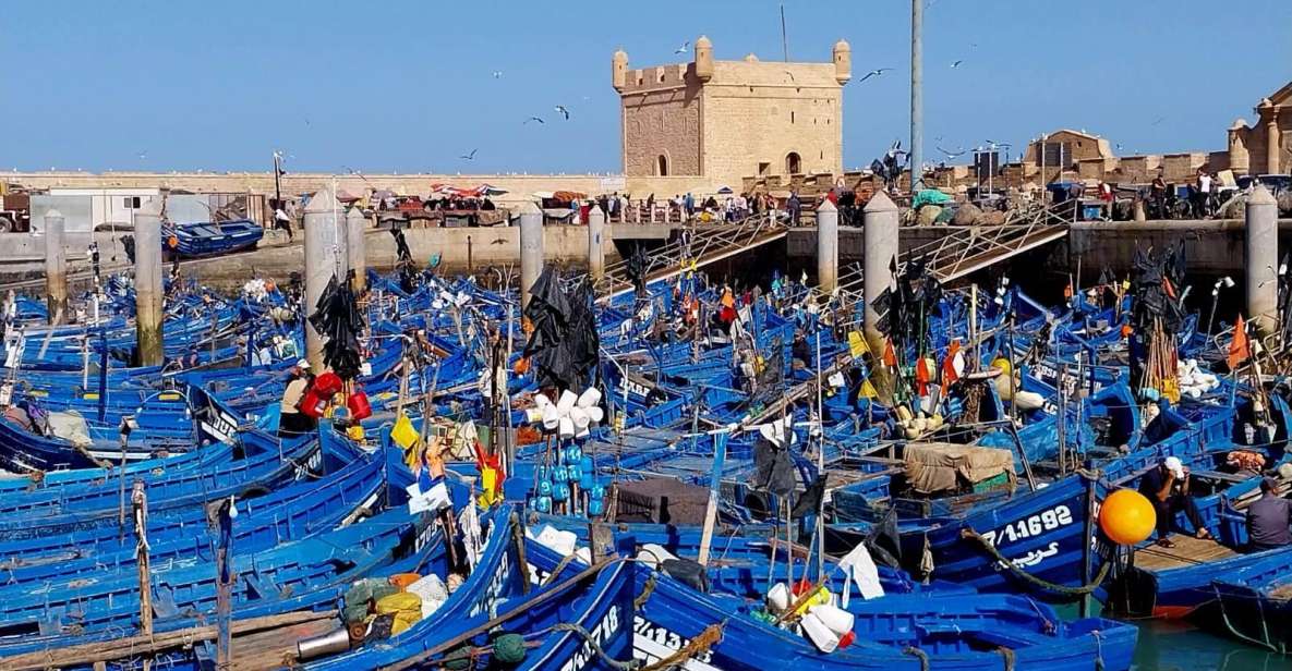 From Marrakech: Essaouira Private Full-Day Trip - Additional Information