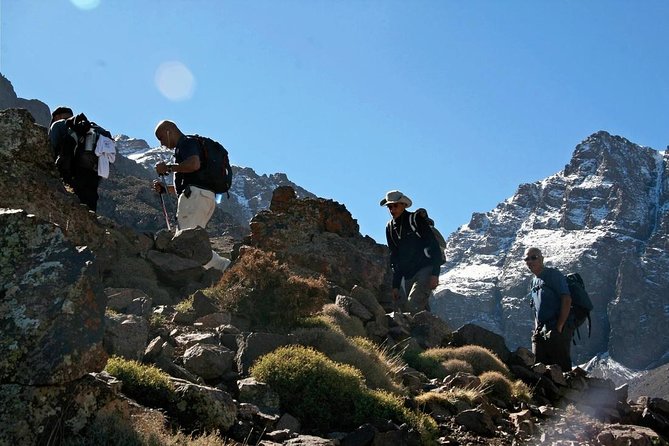 From Marrakech Hiking Day Trip in Imlil Valley and Kasbah Toubkal - Reviews and Ratings