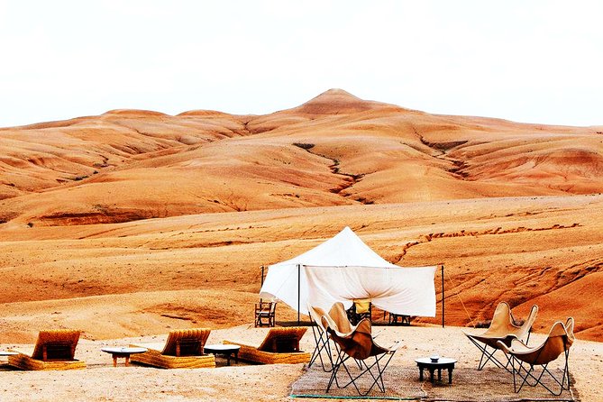 From Marrakech: Magical Dinner In Agafay Desert Under the Stars - Menu Highlights and Setting