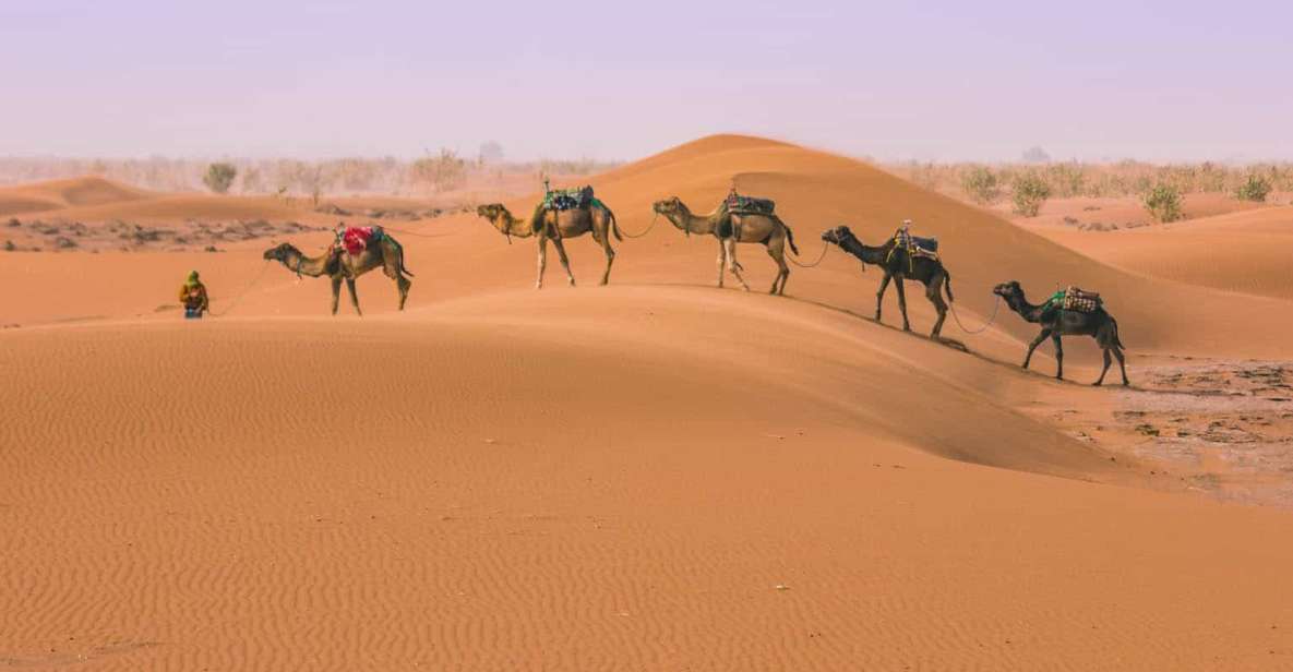 From Marrakech: Merzouga 3-Day Desert Safari With Food - Inclusions and Accommodations