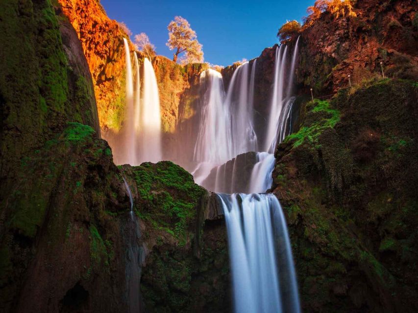 From Marrakech: Ouzoud Waterfalls Full-Day Private Trip - Review Summary