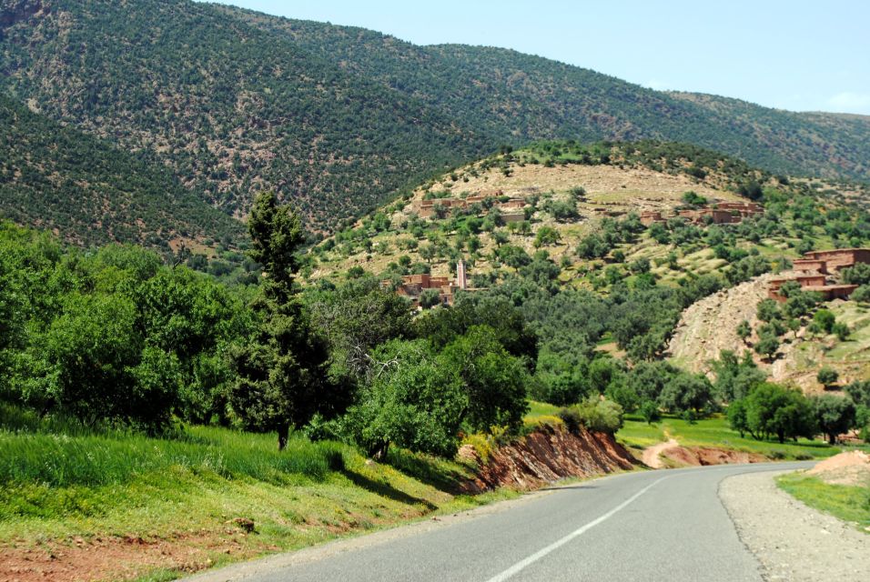 From Marrakech: Ouzoud Waterfalls Guided Tour & Boat Ride - Tour Highlights