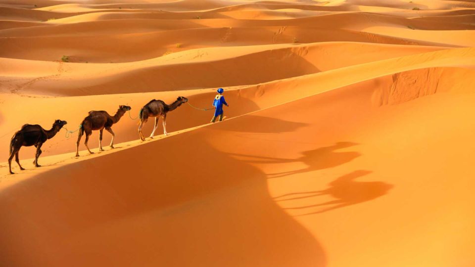 From Marrakech : Private 3-Day Desert Safari To Merzouga - Day 1 Itinerary Highlights