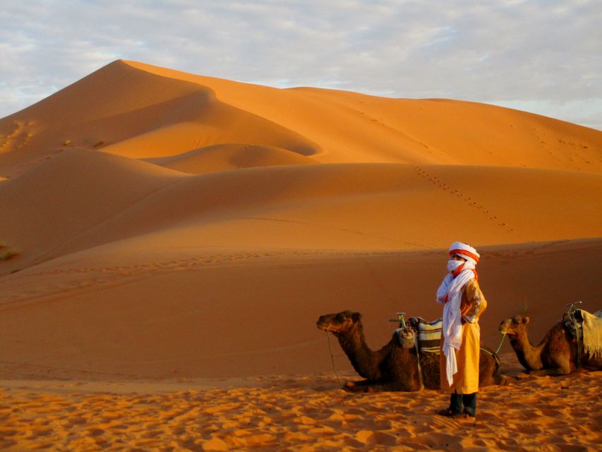 From Marrakech: Private 4 Day Desert Tour and Camel Ride - Tour Highlights