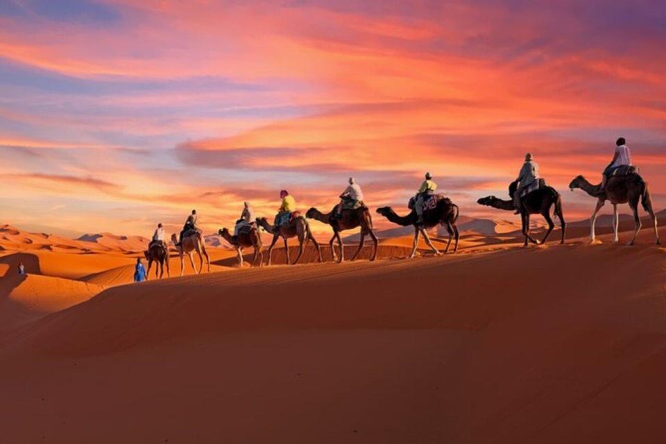 From Marrakech to Fes: 3-Day Desert Through Merzouga Dunes - Tour Highlights