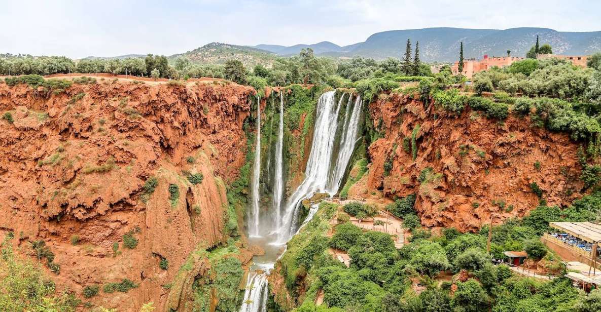 From Marrakech to Ouzoud Waterfall: 1-Day - Highlights of the Activity