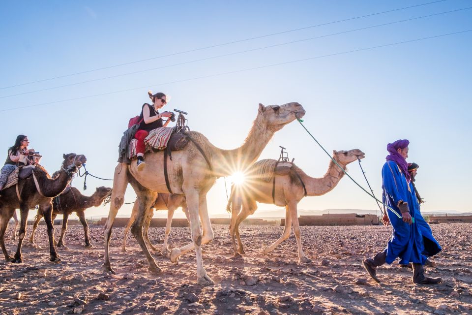 From Marrakech: Zagora 2-Day Desert Safari With Food & Camp - Itinerary