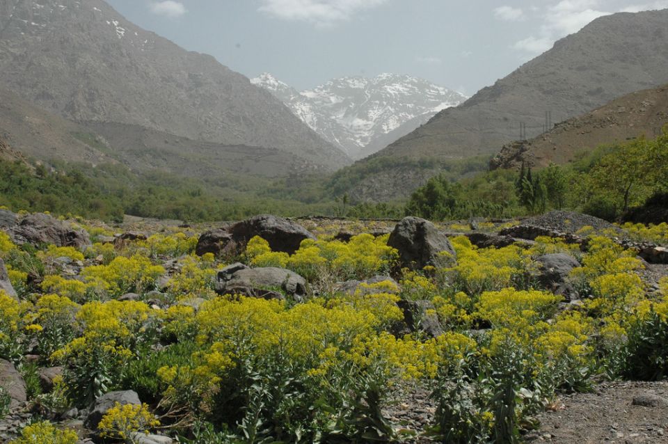 From Marrakesh: 3-Day Trip to Berber Villages - Cultural Immersion