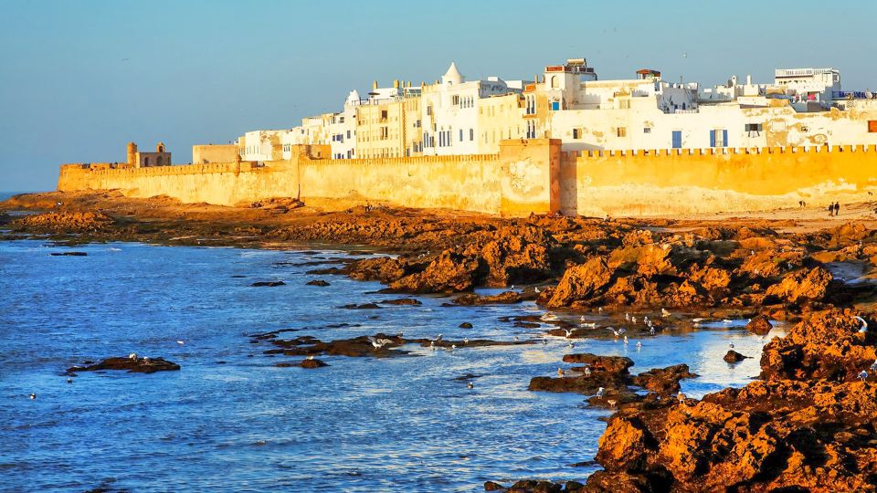 From Marrakesh: Essaouira Full-Day Trip - Review Summary