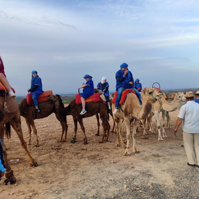 From Marrakesh: Sunset Camel Ride in the Agafay Desert - Feedback From Customers