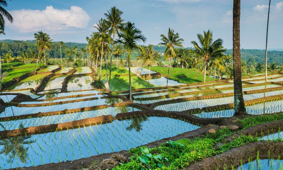 From Mataram: Sendang Gile Waterfall & Senaru Village Tour - Activity Duration and Starting Times