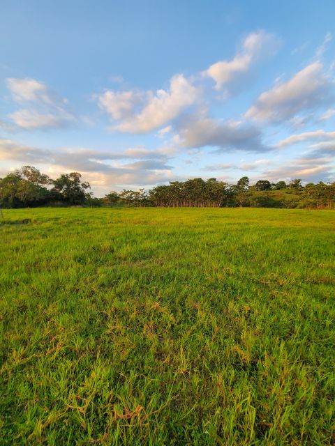 From Medellin; (All-In) The Real Horseback Ranch Experience - Full Description