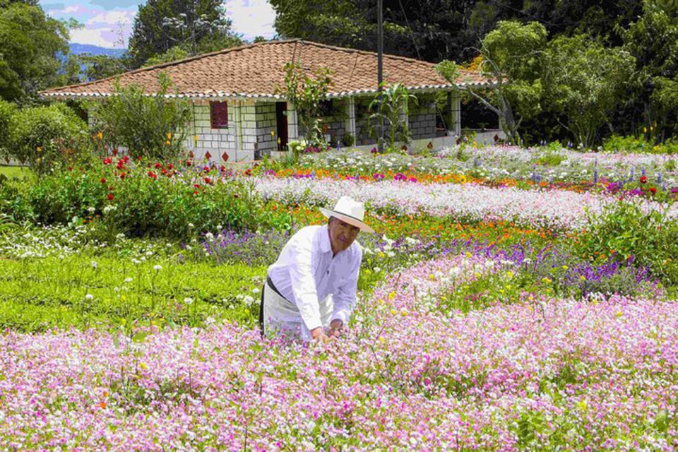 From Medellín: Colombian Flower Farm Private Full-Day Tour - Key Features