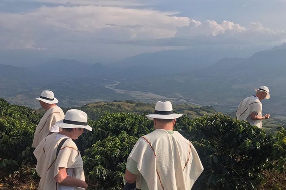 From Medellin: Full Day Fredonia Coffee Private Tour - Tour Location Insights