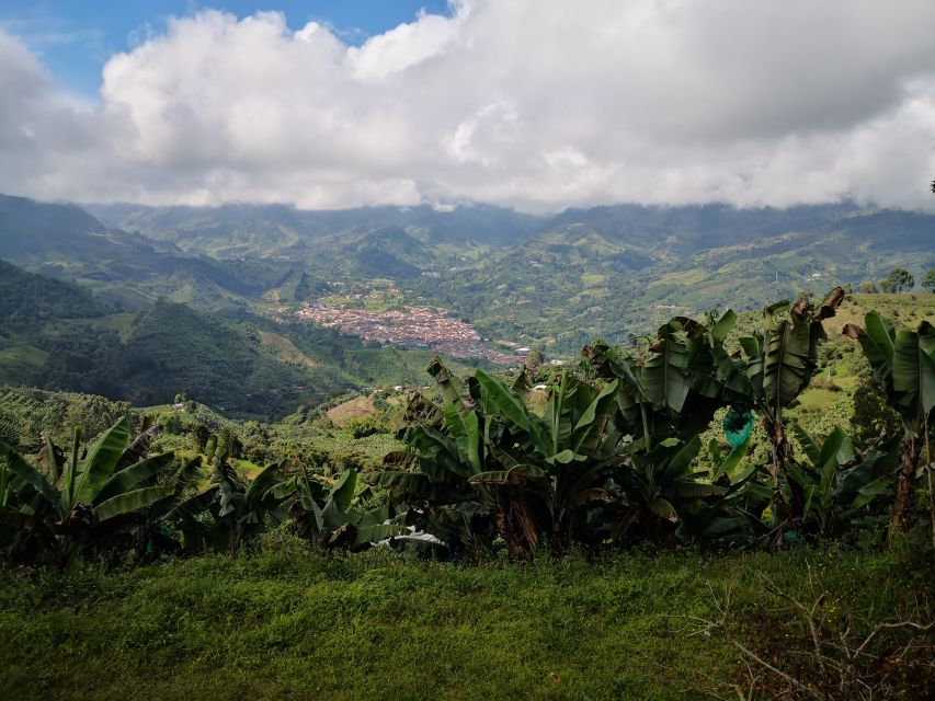 From Medellín: Jardín Town and Coffee Farm Full-Day Tour - Full Tour Description