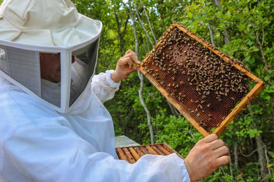 From Merida: Honey and Coconut Eco-Tour - Activity Description