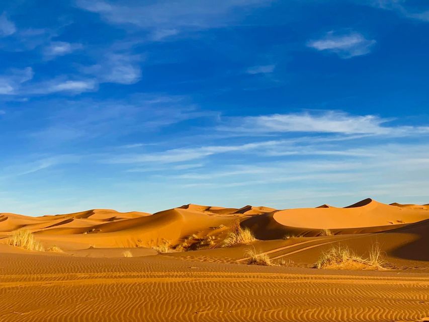 From Merzouga: Overnight Camel Trek Over Erg Chebbi Dunes - Review Ratings