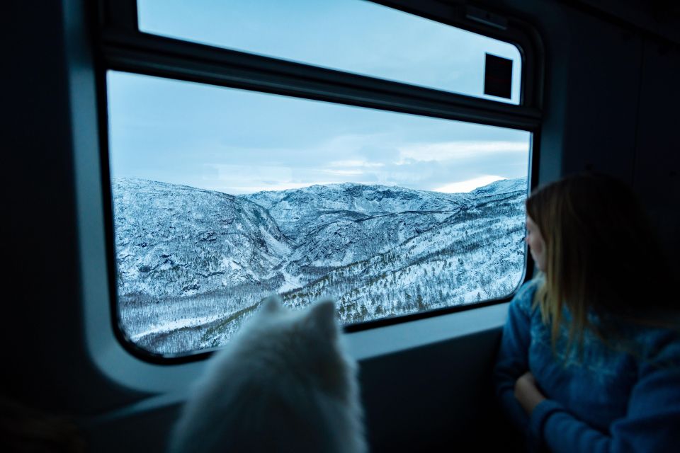From Narvik: Round-Trip Arctic Train Ride on Ofoten Railway - Booking Process and Information