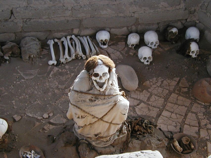 From Nazca Archaeological Tour of Nazca Antonini Museum - Highlights