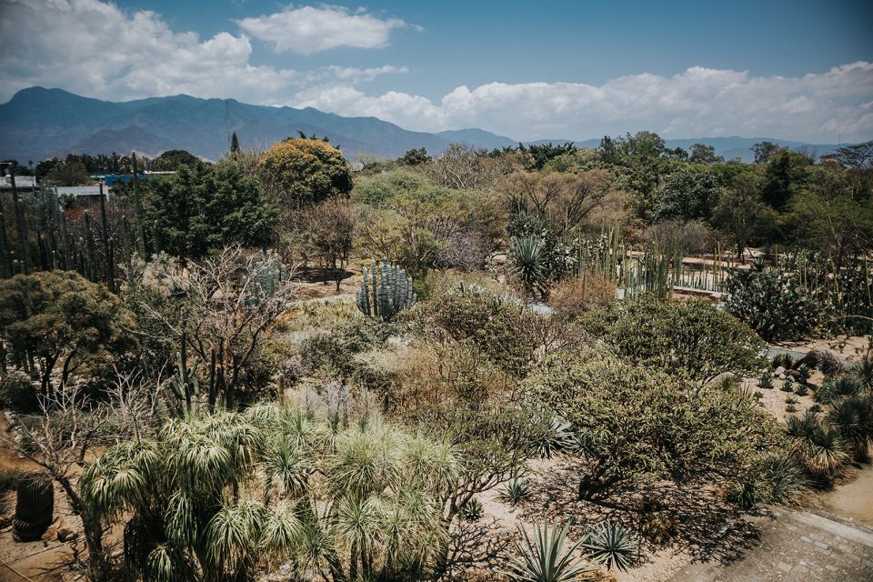 From Oaxaca : Walking Tour - Markets, Textile Museum & Lunch - Inclusions