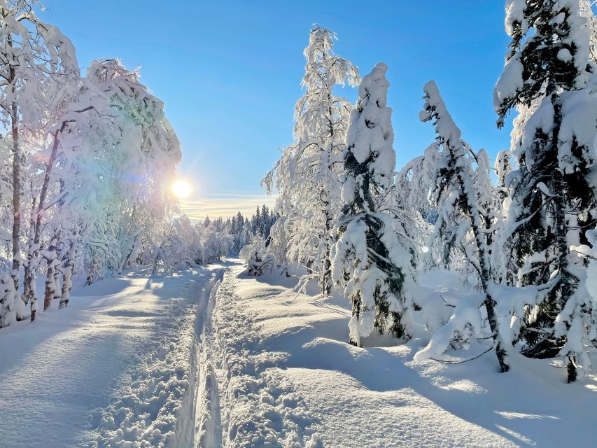 From Oslo: Oslomarka Forest Guided Snowshoeing Tour - Meeting Point Details