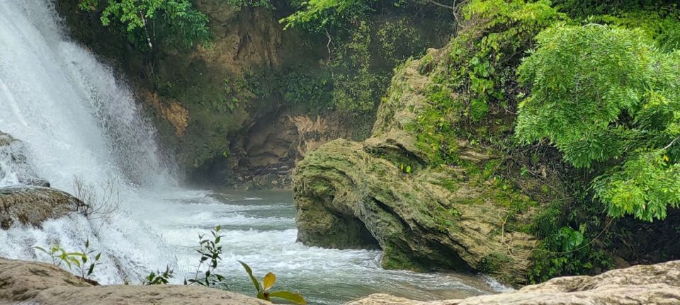 From Palenque: Roberto Barrios and El Salto Waterfalls Tour - Experience Highlights