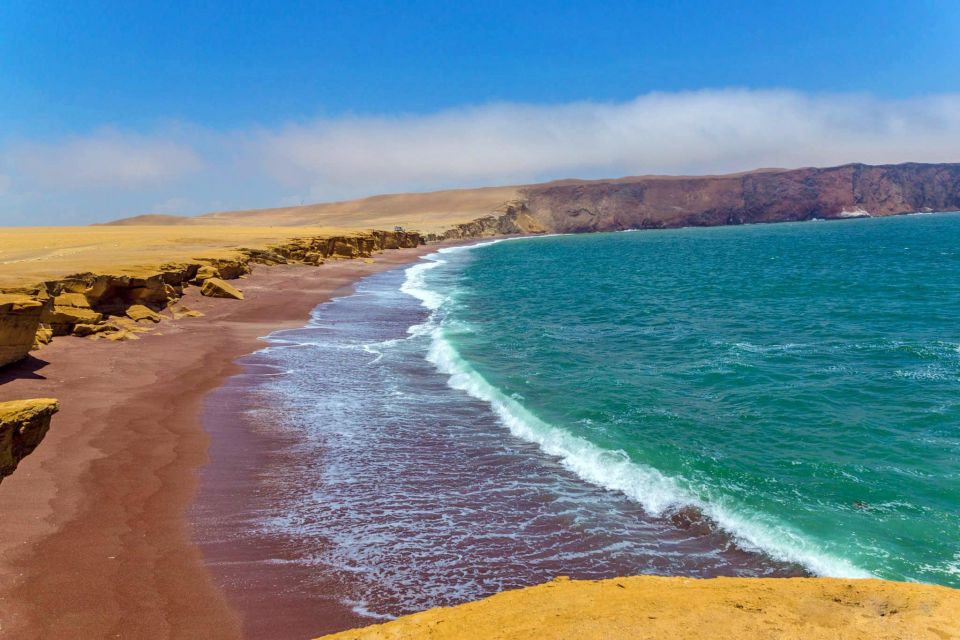 From Paraacas Ballestas Islands Paracas National Reserve - Experience Highlights