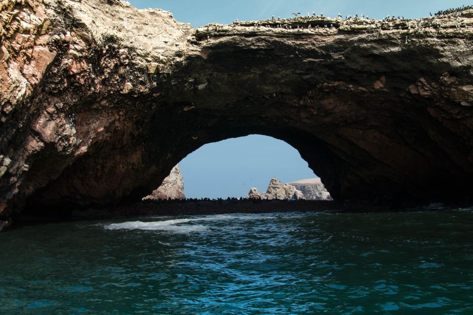 From Paracas: Ballestas Island Marine Wildlife Watching - Restrictions