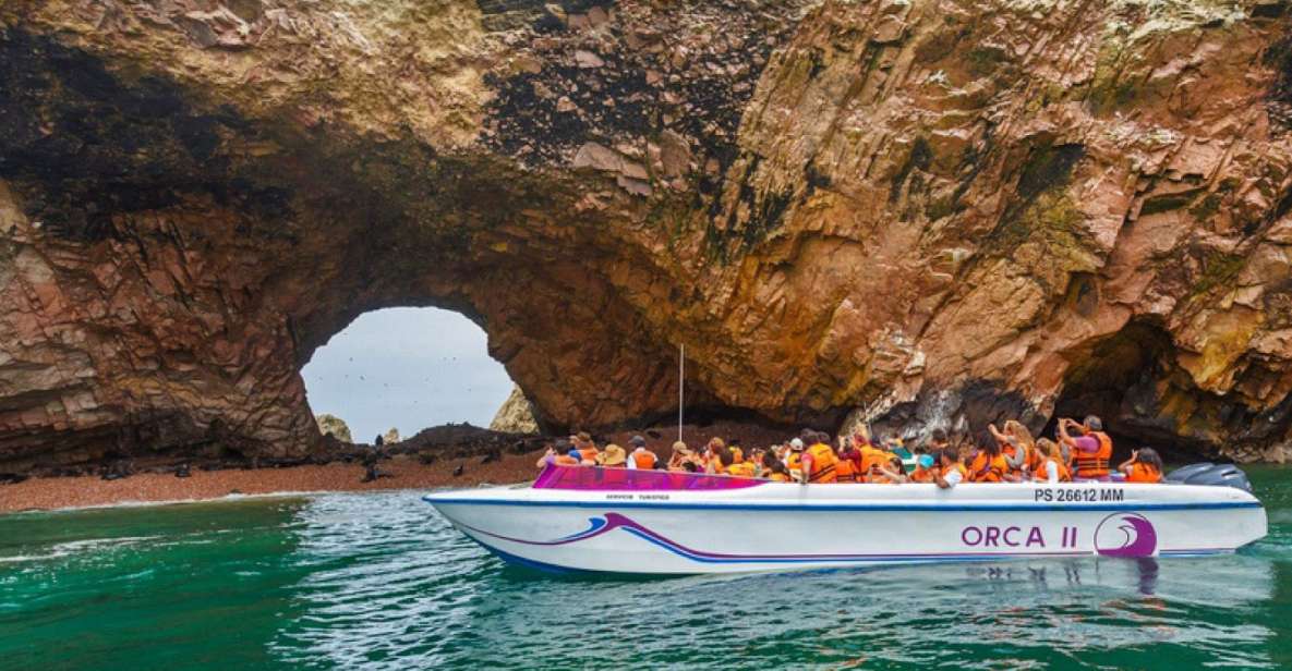 From Paracas: Ballestas Islands Guided Boat Tour - Activity Description