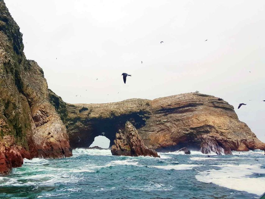 From Paracas Buggy Ride in the Southern Paracas Desert - Inclusions